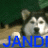 jandre